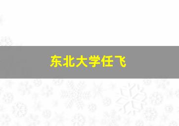 东北大学任飞