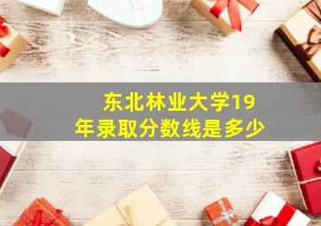 东北林业大学19年录取分数线是多少