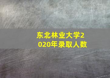 东北林业大学2020年录取人数