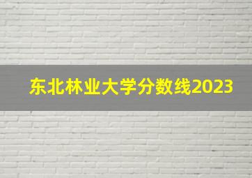 东北林业大学分数线2023