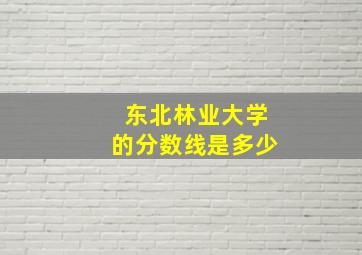 东北林业大学的分数线是多少