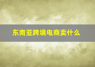 东南亚跨境电商卖什么