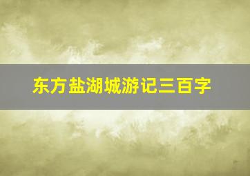 东方盐湖城游记三百字