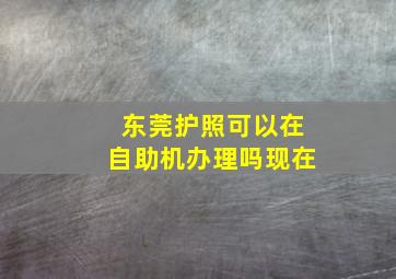 东莞护照可以在自助机办理吗现在