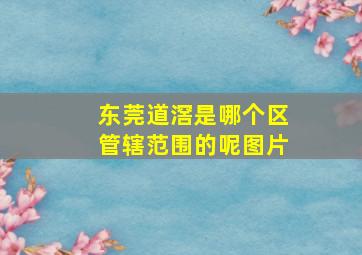 东莞道滘是哪个区管辖范围的呢图片