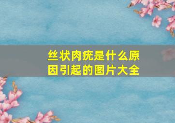 丝状肉疣是什么原因引起的图片大全