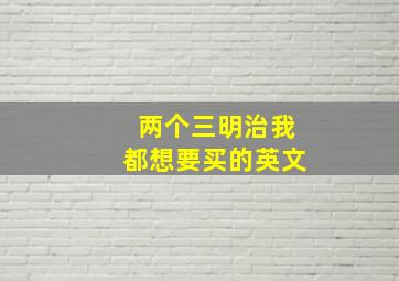 两个三明治我都想要买的英文