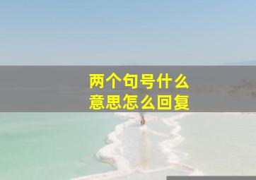 两个句号什么意思怎么回复