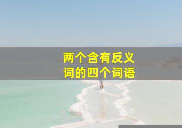 两个含有反义词的四个词语