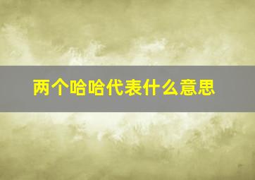 两个哈哈代表什么意思