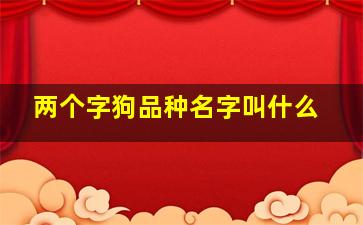 两个字狗品种名字叫什么