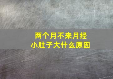 两个月不来月经小肚子大什么原因