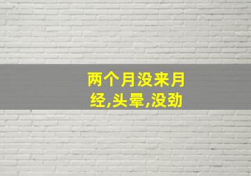 两个月没来月经,头晕,没劲