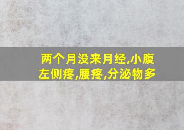 两个月没来月经,小腹左侧疼,腰疼,分泌物多