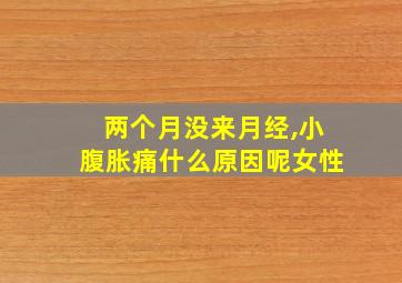 两个月没来月经,小腹胀痛什么原因呢女性