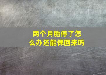 两个月胎停了怎么办还能保回来吗