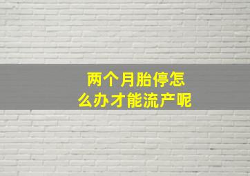 两个月胎停怎么办才能流产呢