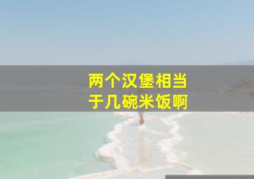 两个汉堡相当于几碗米饭啊