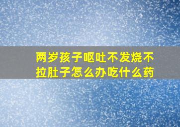 两岁孩子呕吐不发烧不拉肚子怎么办吃什么药