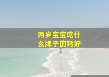 两岁宝宝吃什么牌子的钙好