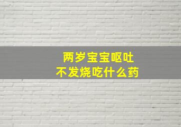 两岁宝宝呕吐不发烧吃什么药