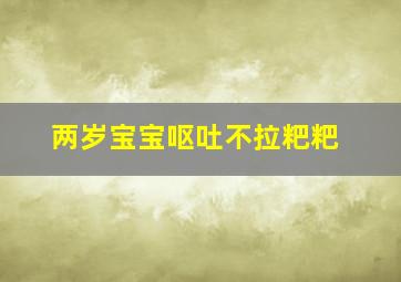 两岁宝宝呕吐不拉粑粑