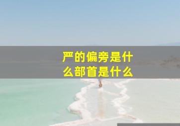 严的偏旁是什么部首是什么