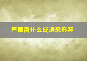 严肃用什么成语来形容