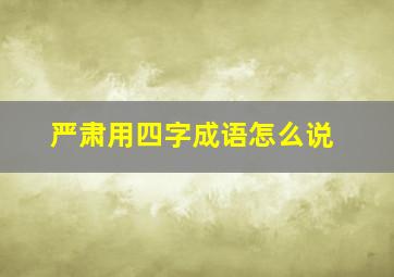 严肃用四字成语怎么说