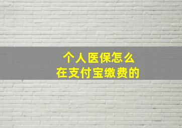 个人医保怎么在支付宝缴费的