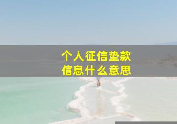 个人征信垫款信息什么意思