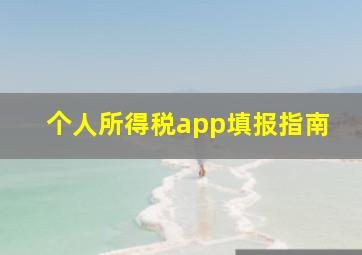 个人所得税app填报指南