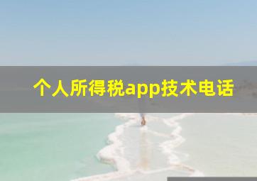 个人所得税app技术电话