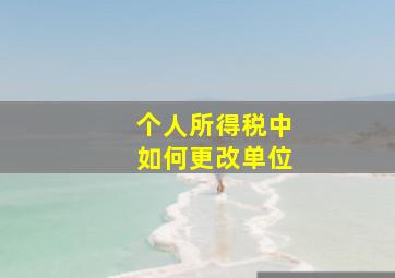 个人所得税中如何更改单位