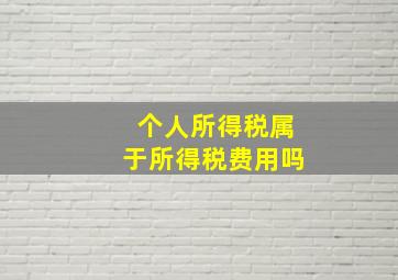 个人所得税属于所得税费用吗