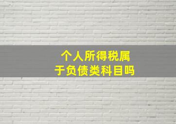 个人所得税属于负债类科目吗