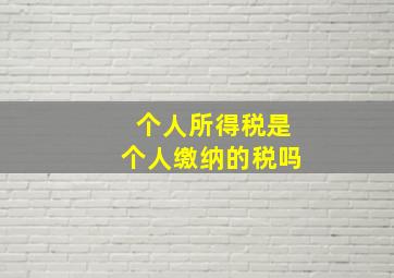 个人所得税是个人缴纳的税吗