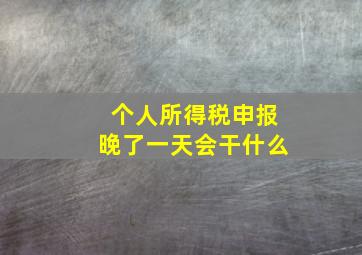 个人所得税申报晚了一天会干什么