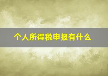 个人所得税申报有什么