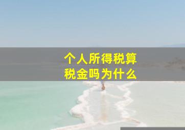 个人所得税算税金吗为什么