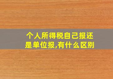 个人所得税自己报还是单位报,有什么区别