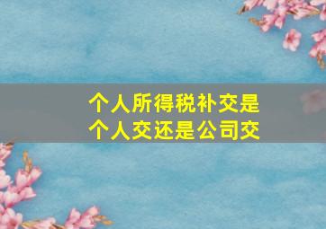 个人所得税补交是个人交还是公司交