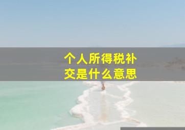 个人所得税补交是什么意思