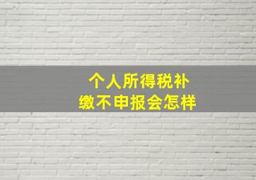 个人所得税补缴不申报会怎样