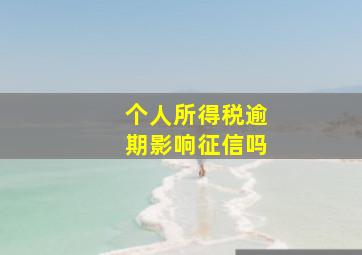 个人所得税逾期影响征信吗