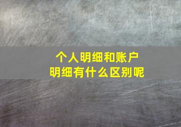 个人明细和账户明细有什么区别呢