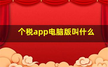 个税app电脑版叫什么