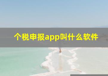 个税申报app叫什么软件