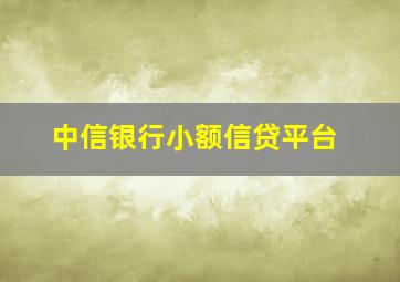 中信银行小额信贷平台