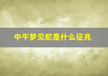 中午梦见蛇是什么征兆